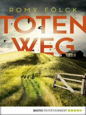 cover image of Totenweg
